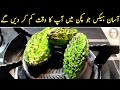 Easy Hacks That Will Reduce Your Time In The Kitchen || New Tips 2023 || Kitchen Hacks