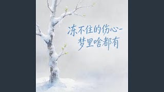 冻不住的伤心 (DJ涵涵版)