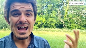 🌳 Would you like to have 11ha castle estate permaculture project? 🫑