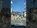この光景見たら、もうキュンってなっちゃった🥹ちびっ子たちが手をつないで横断歩道を渡ってて、先生たちが優しく見守ってて…ほんと愛があふれてた🧡