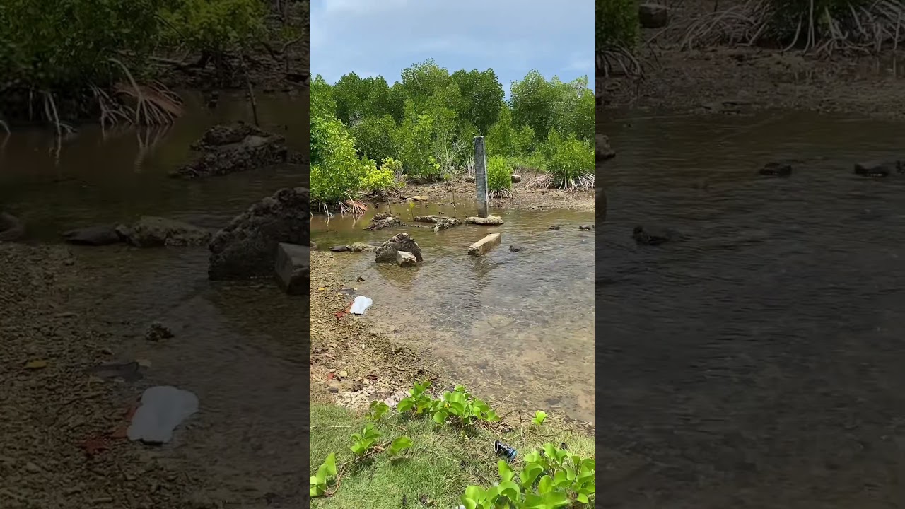 Tonoas island in Chuuk lagoon