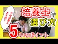 【あなたの培養土は大丈夫？？】培養土の選び方５つのポイント！　～狭い庭で家庭菜園～
