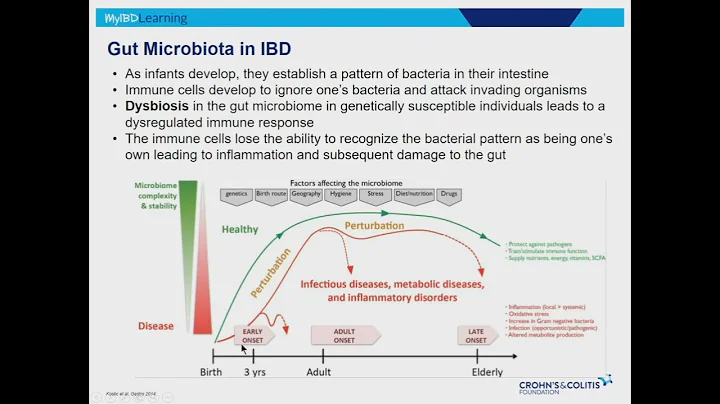The Gut Microbiome: The Secret World Inside Us