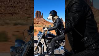 Biker dogs rule.