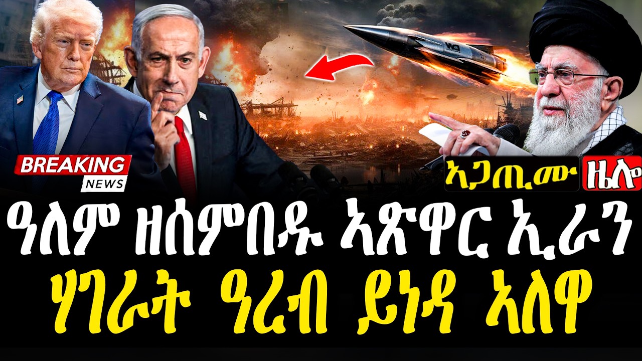 Breaking 🚨 ኣሰምባዲ ጸብጻብ ውግእ | ንኹለን የዕንያተን 💔 #zena_tigrigna