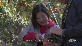 Seasons of China Episode 18: First Frost