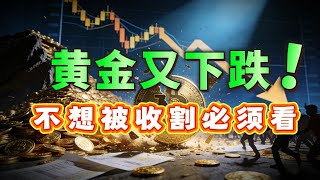 黄金5000点拉锯战！现在买是送钱还是最后上车机会？复盘百年历史：黄金也曾20年不涨！#黄金 #金价 #投资