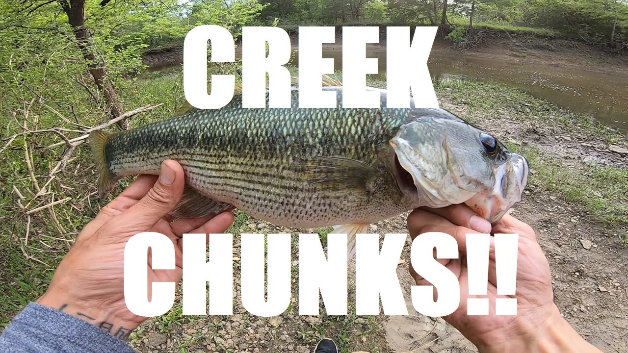 BASS Fishing in CREEKS Oklahoma Outdoors YouTube
