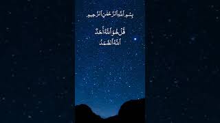 Surah Ikhlas by Mustapha Gharbi #Quran #surahikhlas #shorts #youtubeshorts