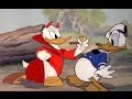 Donald duck cartoon  donalds decision