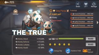 حالة البقاء: التطور الحقيقي لحيوان الباندا الأليف screenshot 1