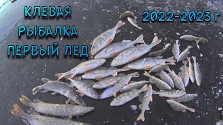 РЫБАЛКА ПО ПЕРВОМУ ЛЬДУ. Зимняя рыбалка. Ловля окуня на безмотылку.2022г.