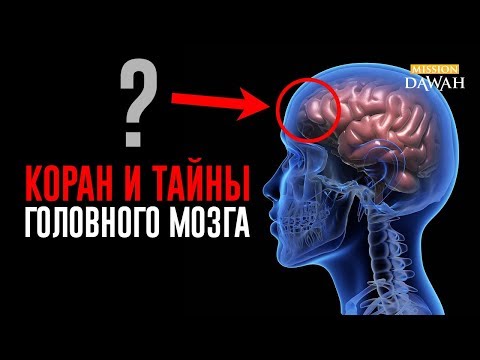 Откуда берутся ЛОЖЬ и ГРЕХИ? | Коран и Наука