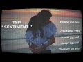 Tsd  sentiments audio officiel