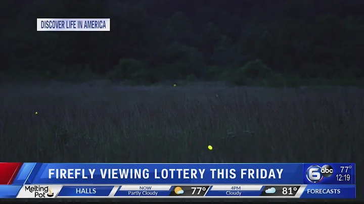 Great Smoky Mountains announce synchronous firefly viewings plan