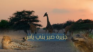 جزيرة صير بني ياس | anantara sir bani yas