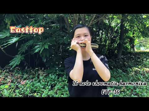缅怀青春 | 匆匆那年我们究竟说了几遍.... 琴声响起，满满的回忆杀 Easttop 16 hole chromatic harmonica ETP-16