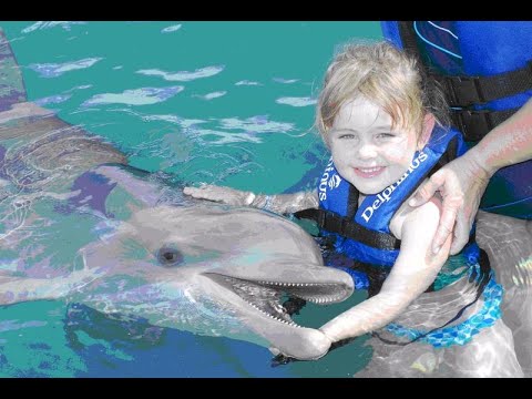 Alanya Dolphin Show and Swimming Tour - Alanya Best Trips #alanya #dolphinshow #tour