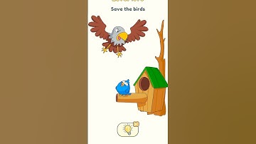 Dop2 level 1078. Save the birds.#shorts #games #dop2 #dop #iq