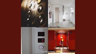 Stellar Elevators