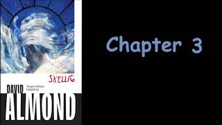 Skellig   Chapter 3