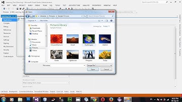 How to Display an Image in PictureBox in Runtime VB NET 2012