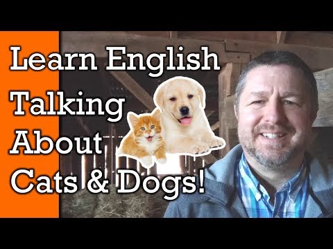 Video: Nama Binatang Anjing Anda Boleh Mispronouncing