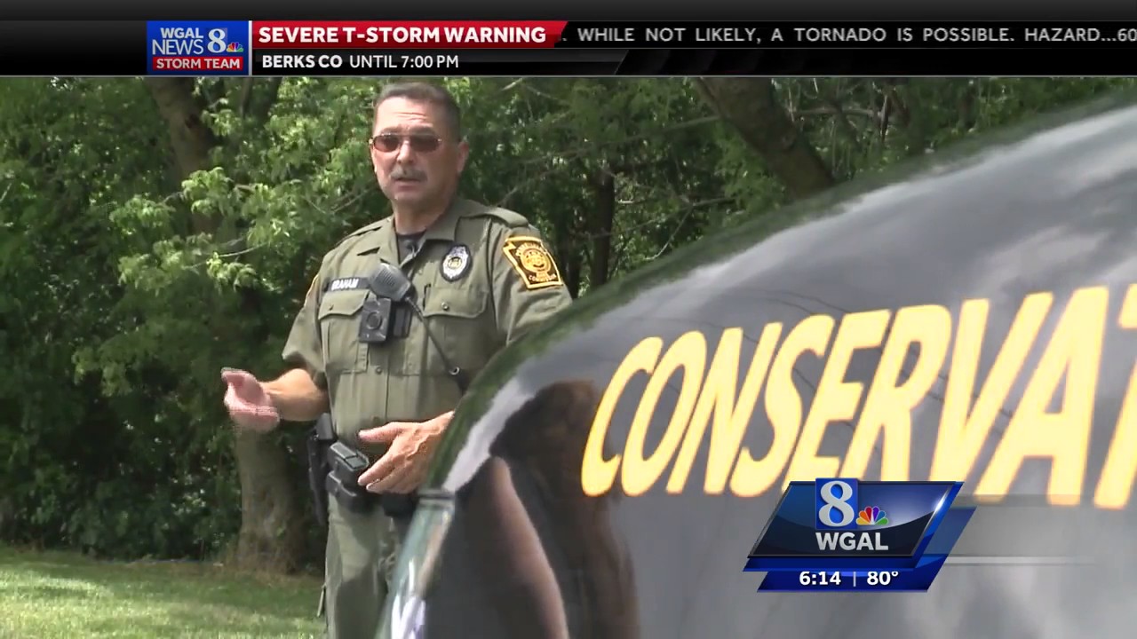 Witnesses describe backyard bear encounter