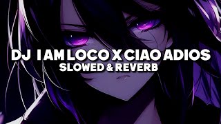 DJ I AM LOCO X CIAO ADIOS (Slowed \u0026 Reverb)🖤🔊🎧