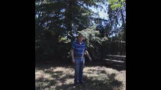 DSC 9900 remix SG E cubemap Left view