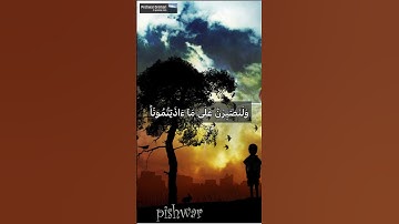 وَمَا لَنَآ أَلَّا نَتَوَكَّلَ عَلَى ٱللَّهِ وَقَدۡ هَدَىٰنَا سُبُلَنَاۚ (سورة إبراهيم)محمدالمنشاوي