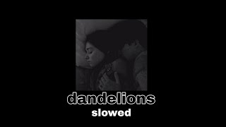 dandelions \
