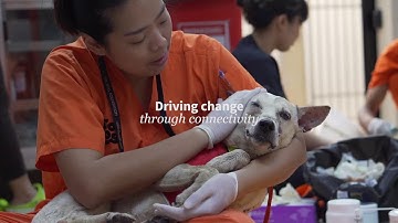 Dimension Data|NTT e Cisco: Construindo o futuro da tecnologia