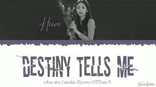 Heize - Destiny Tells Me(When the Camellia Blooms OST )[Han/Rom/Eng] Lyrics