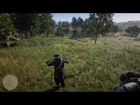 Cassis Dourado Spot - Red Dead Redemption 2 - YouTube