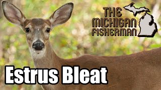 Doe Bleat Call Sound Only