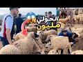 ثمن حولي عيد الأضحى سوق الخميس أنجرة أش هاد الغلاء 