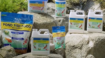 Take your pond to the next level with the API brand