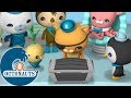 Octonauts - Le trésor de Kwazii | Dessins animés pour enfants