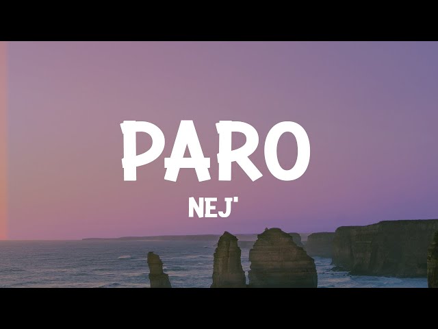 NEJ' - Paro (Lyrics) class=