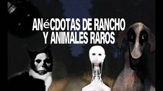 Compilación de Anécdotas de Ranchos y Animales Raros