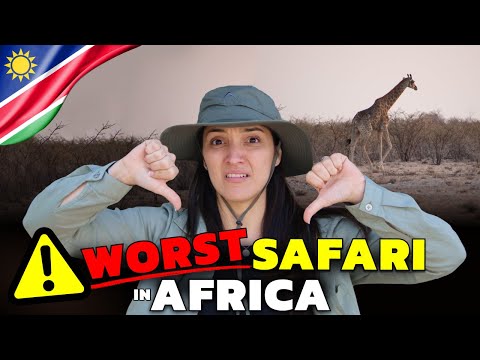 HONEST Experience in Etosha National Park Vlog (Namibia)