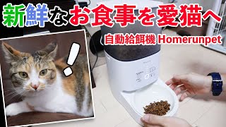 【猫】鮮度を保ちながら餌を自動であげられるHomerunpet スマートペットフィーダー