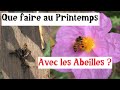 Comment avoir des abeilles  et autres activits de printemps