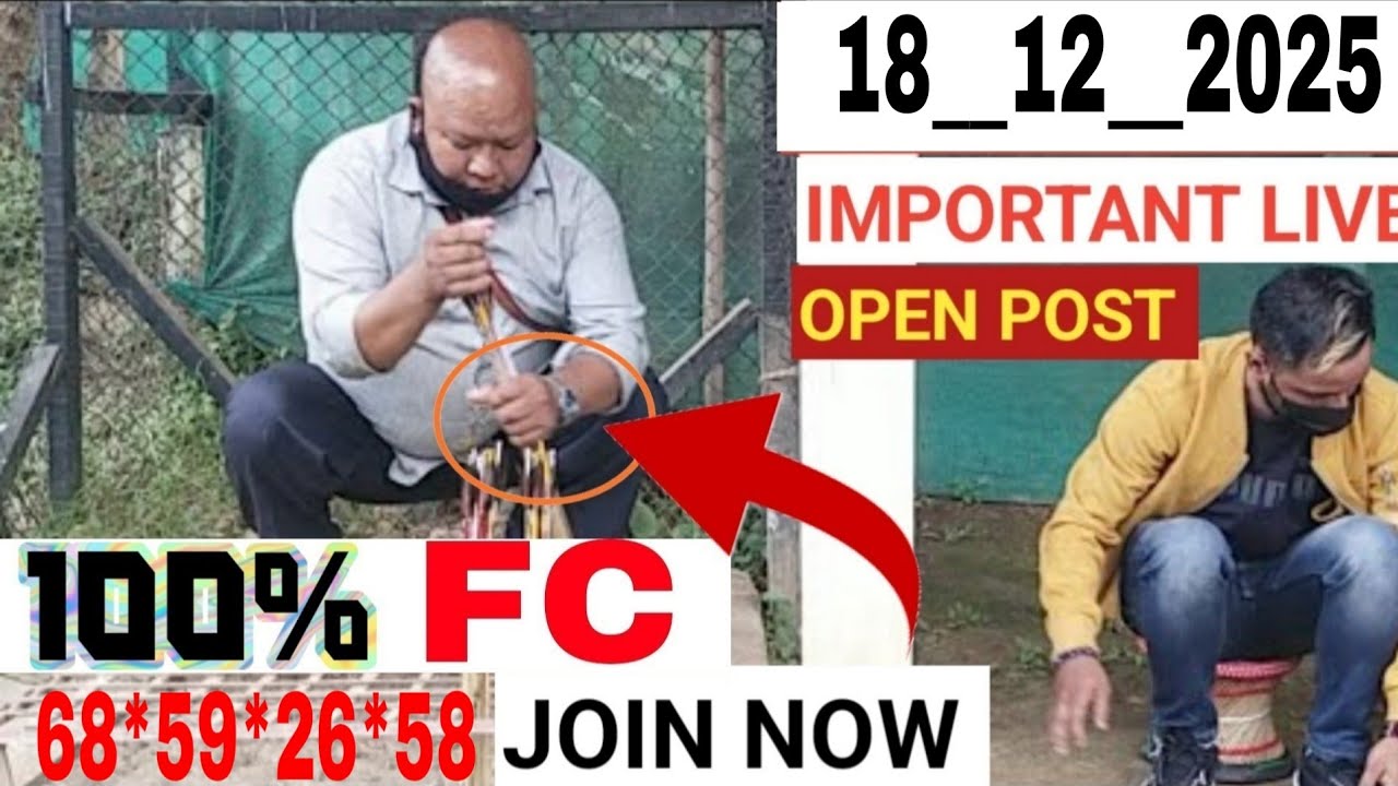 Live Formula в прямом эфире