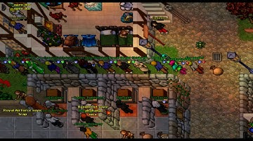 Pogrom - the best pk team on Kyra tibia 2009/2010
