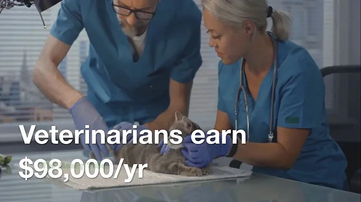 Veterinarian Salary $98,000 - Job Details & Requirements - DayDayNews