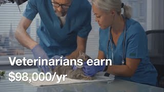 Veterinarian Salary $98,000 - Job Details & Requirements