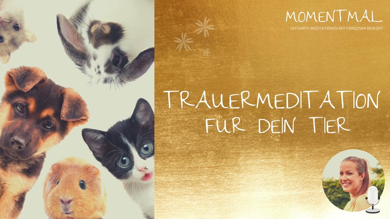Trauermeditation für dein Tier ❤ | Lass uns gemeinsam fühlen und heilen | Trauerbegleitung