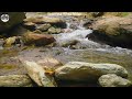 White Noise No Ads | Deep Sleep for Relaxation and Stress Relief